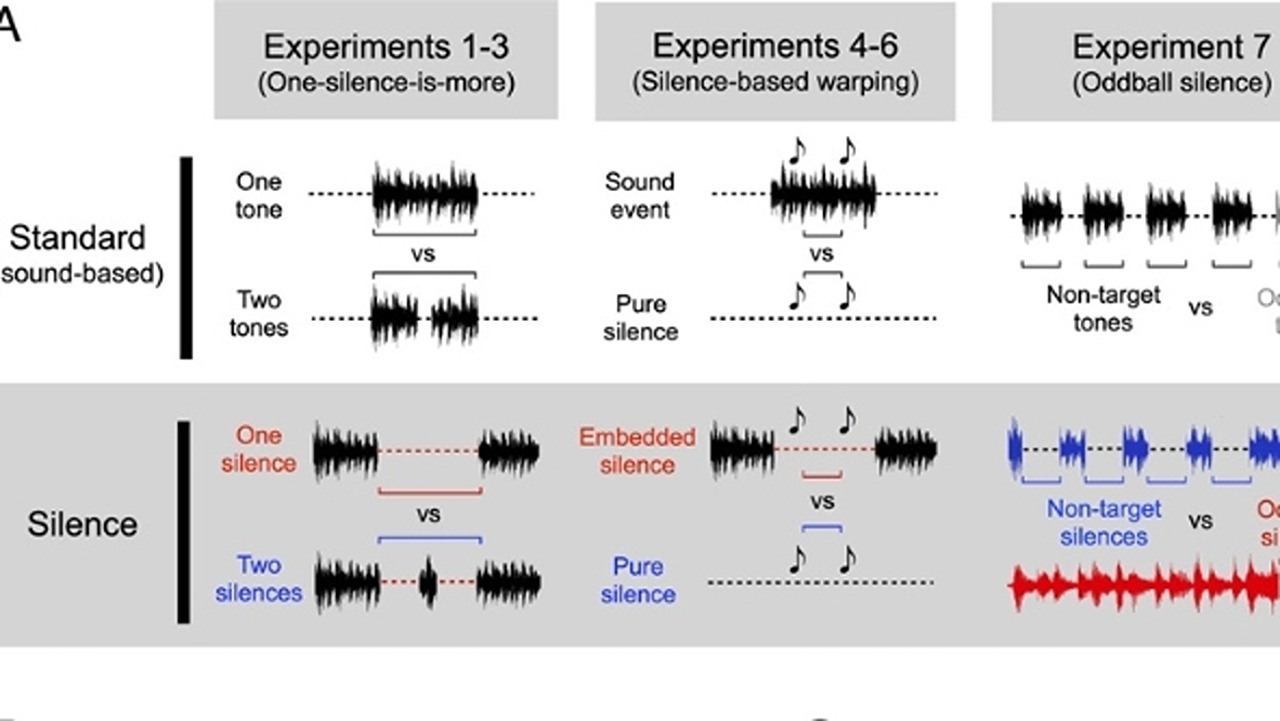 Günlük Hayatta Her Ne Kadar Fark Etmesek de Sessizliğin de Bir Sesi Olduğu Ortaya Çıktı