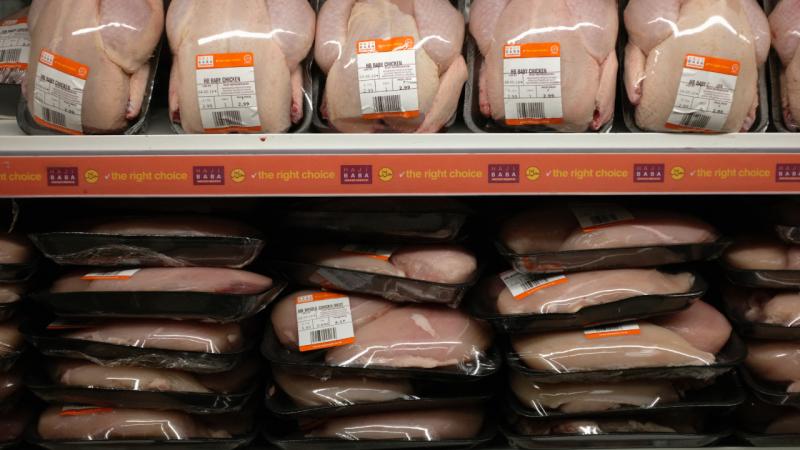 Paketli tavuklarda anlık zararlı bakteri tespiti yapan sensörlü kap üretildi