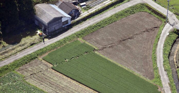 Doğu Anadolu Fay Hattı’nın Kaç Yaşında Olduğu Bulundu