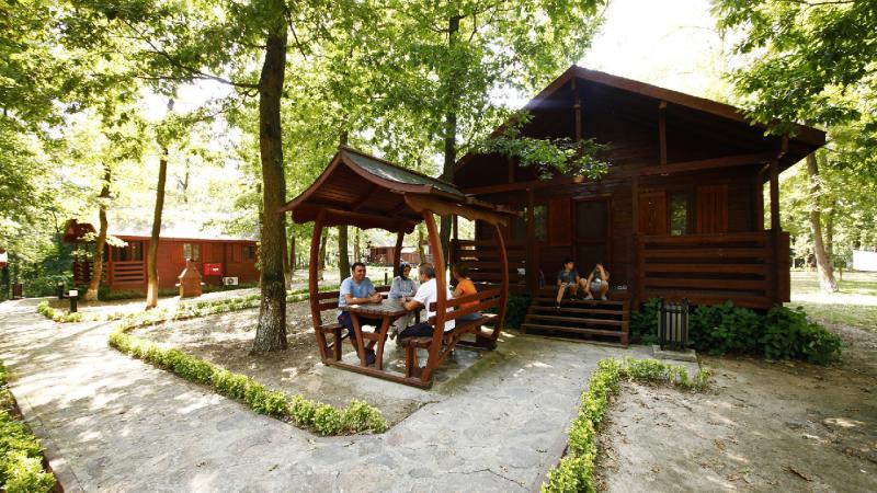 Sakarya’daki orman evleri hayran bıraktı: Kısa sürede rekor kiralama düzeyine ulaştı