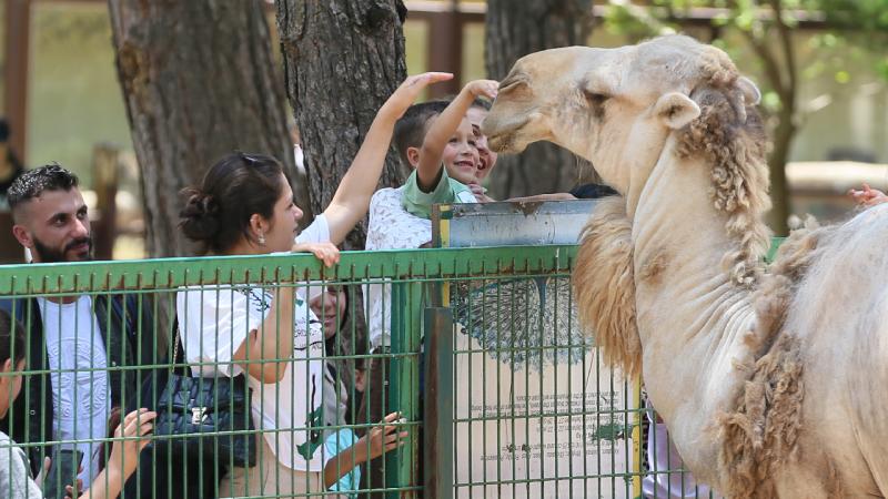 Gaziantep Doğal Yaşam Parkı 62 bin ziyaretçiyi ağırladı