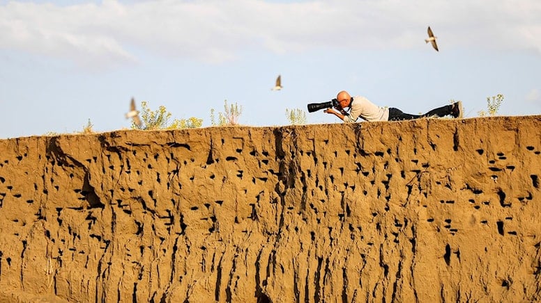Koruma altına alınan kırlangıç yuvaları, fotoğrafçıların uğrak yeri oldu