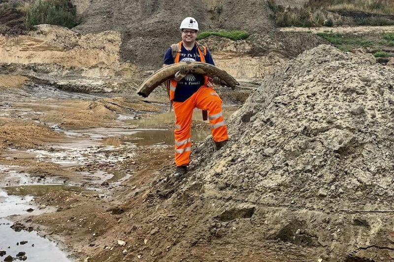 İngiltere’de İyi Korunmuş 400.000 Yıllık Mamut Dişi Bulundu