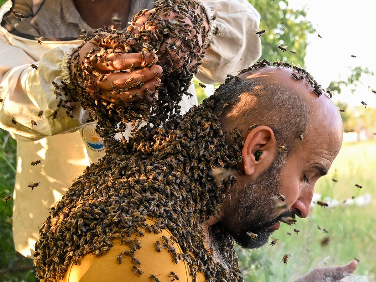 60 kilo arıyı üzerinde topladı