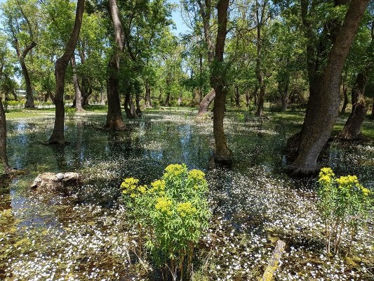 Tabiat parklarına ziyaretçi akını!