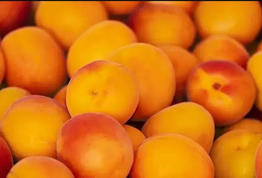 Şimdi tam mevsimi! Herkes ona ‘Meyvelerin Piri’ diyor