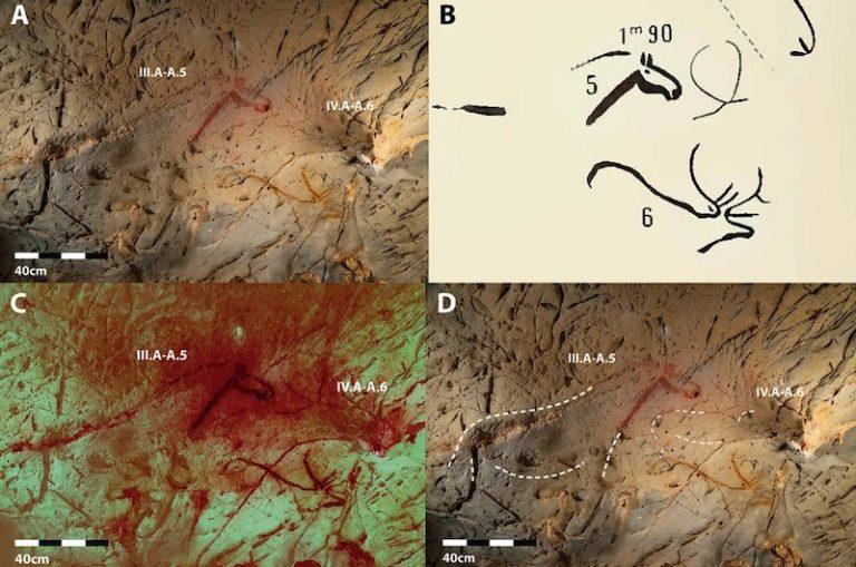 Tarihöncesi Mağara Sanatında Bilinmeyen Hayvanlar Keşfedildi