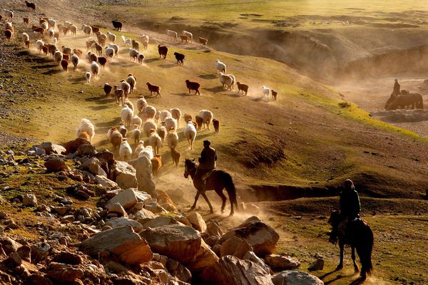 Yeni araştırma; Hint-Avrupa dillerinin Anadolu kökeni hakkında yeni bir bakış açısı getiriyor