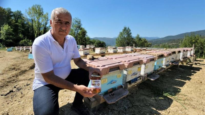 Yenice ormanlarında üretilen ıhlamur balı coğrafi işaret aldı