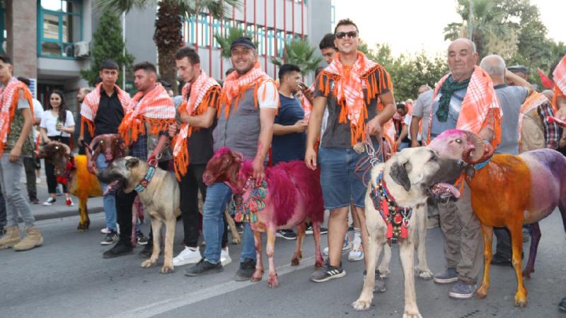 Denizli’de “Sudan Koyun Geçirme Yarışması” öncesi yürüyüş yapıldı