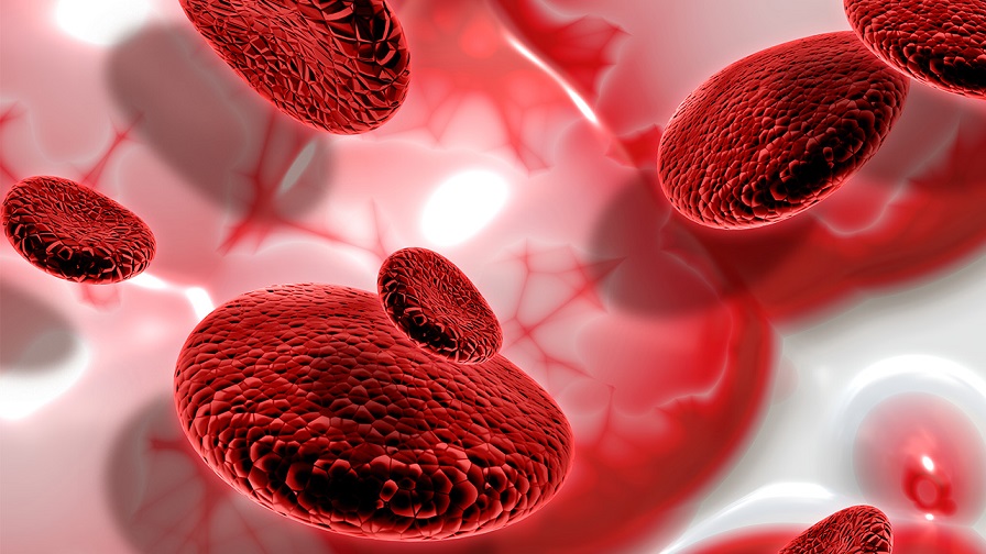 Kan Gruplarındaki “Rh” İfadesinin Maymunlarla Olan İlgisini Öğrenince “Bugün de Aydınlandık Çok Şükür” Diyeceksiniz