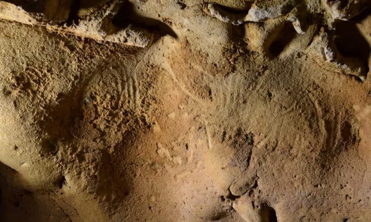 Bilinen En Eski Neandertal Gravürleri bir Fransız Mağarasında Keşfedildi