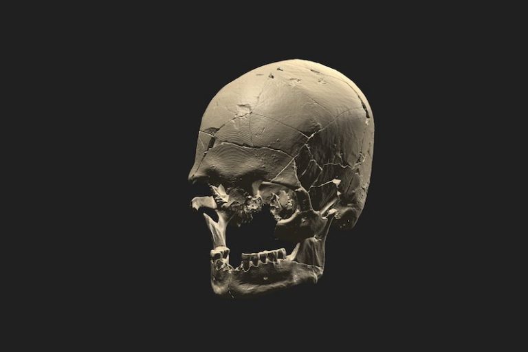 Brezilya’daki 10.000 Yıllık Fosil, Modern Yerlilerle İlişkili Çıktı