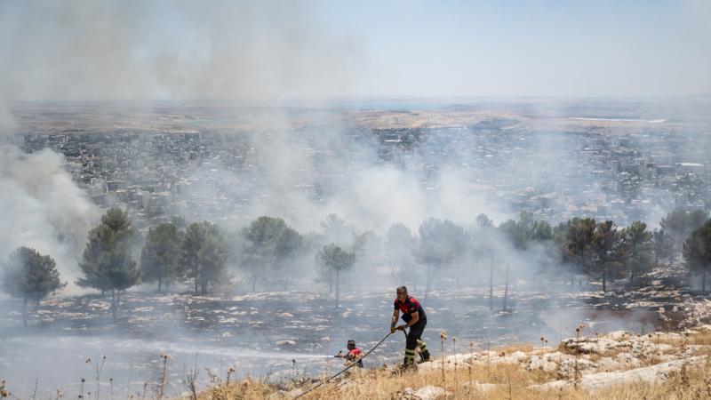 Orman yangınlarına “yapay zeka” desteği