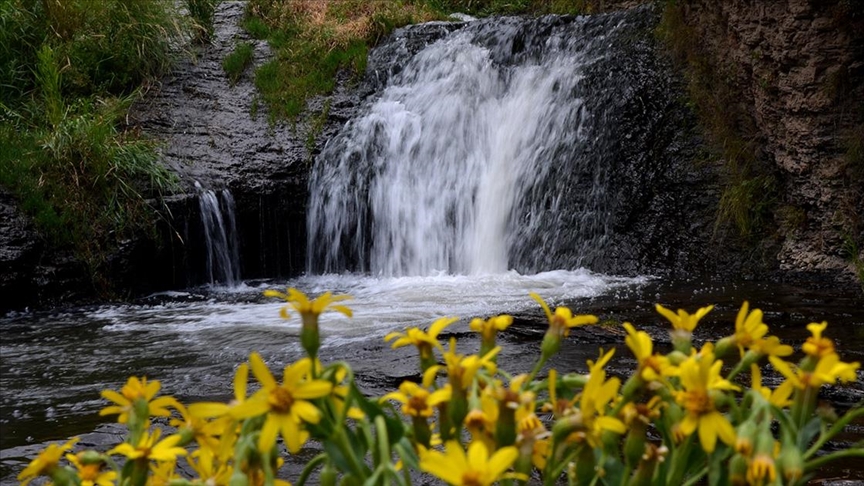 Kars’taki “Keklik Deresi Ekoturizm Alanı”nın genişletilmesi talep edildi