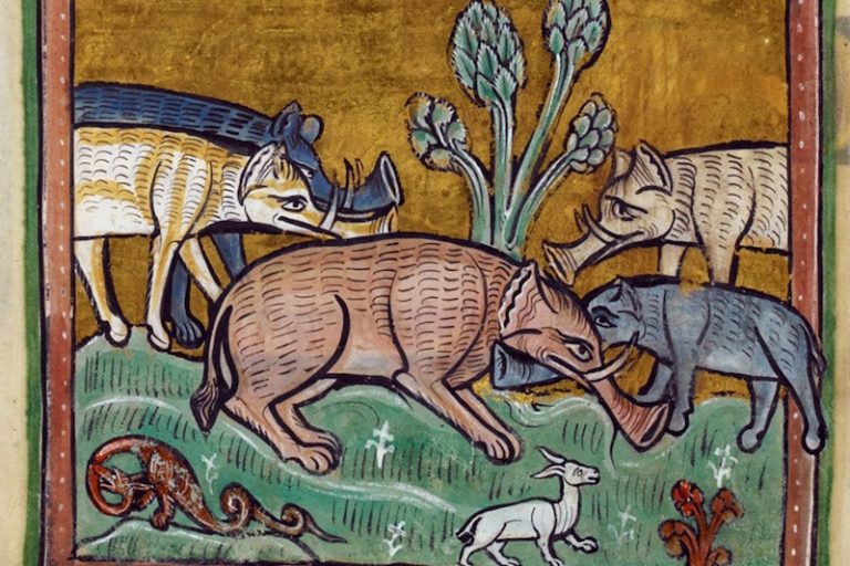 Hiç Fil Görmemiş Orta Çağ Sanatçıları Filleri Nasıl Çizdi?