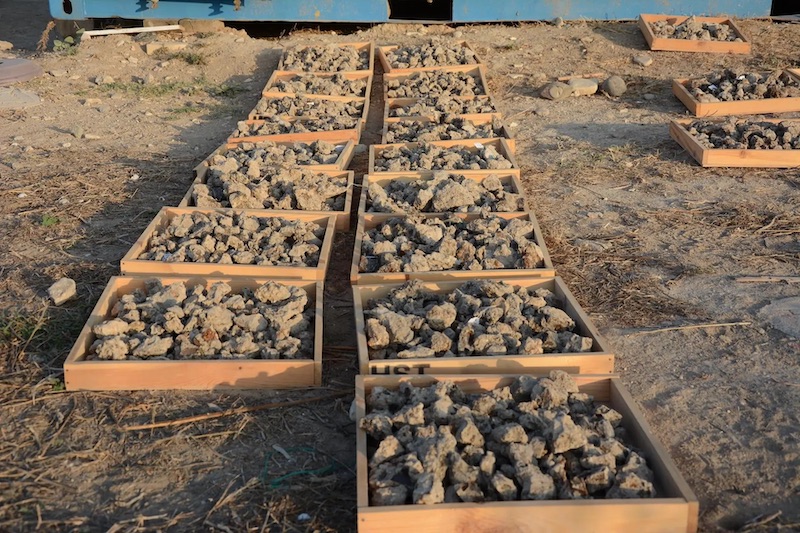 Hala Sultan Tekke Köyü, Önemli Bir Tunç Çağı Merkeziydi