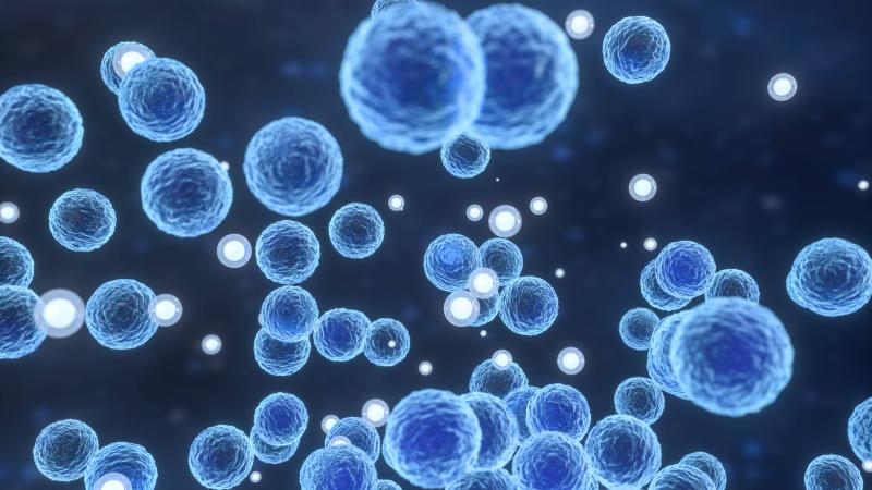 Sıtmayla mücadele edebilecek bakteri ‘şans eseri’ keşfedildi