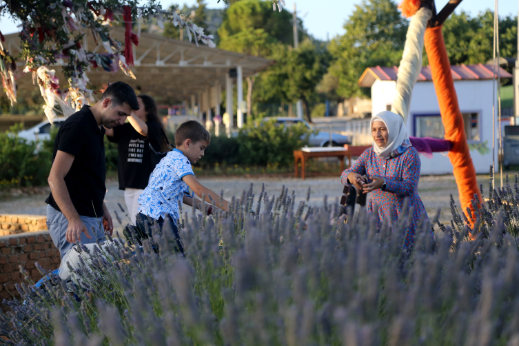 Muğla’nın “mor tarlası” misafirlerini ağırlıyor