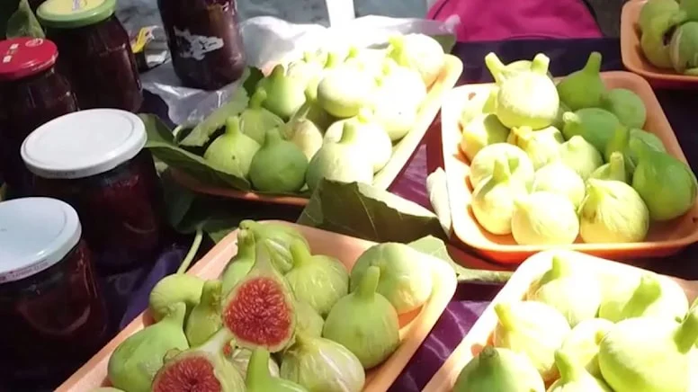 Festival, kuraklık ve ürün azlığı nedeniyle iptal edildi