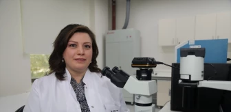 Travmatik ve cerrahi doku hasarı tedavisine yönelik hazırlanan projeye TÜBİTAK desteği