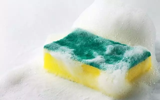 Prof. Dr. Canan Karatay uyardı: Evinizde varsa derhal çöpe atın! Hastalıklara davetiye çıkarıyor