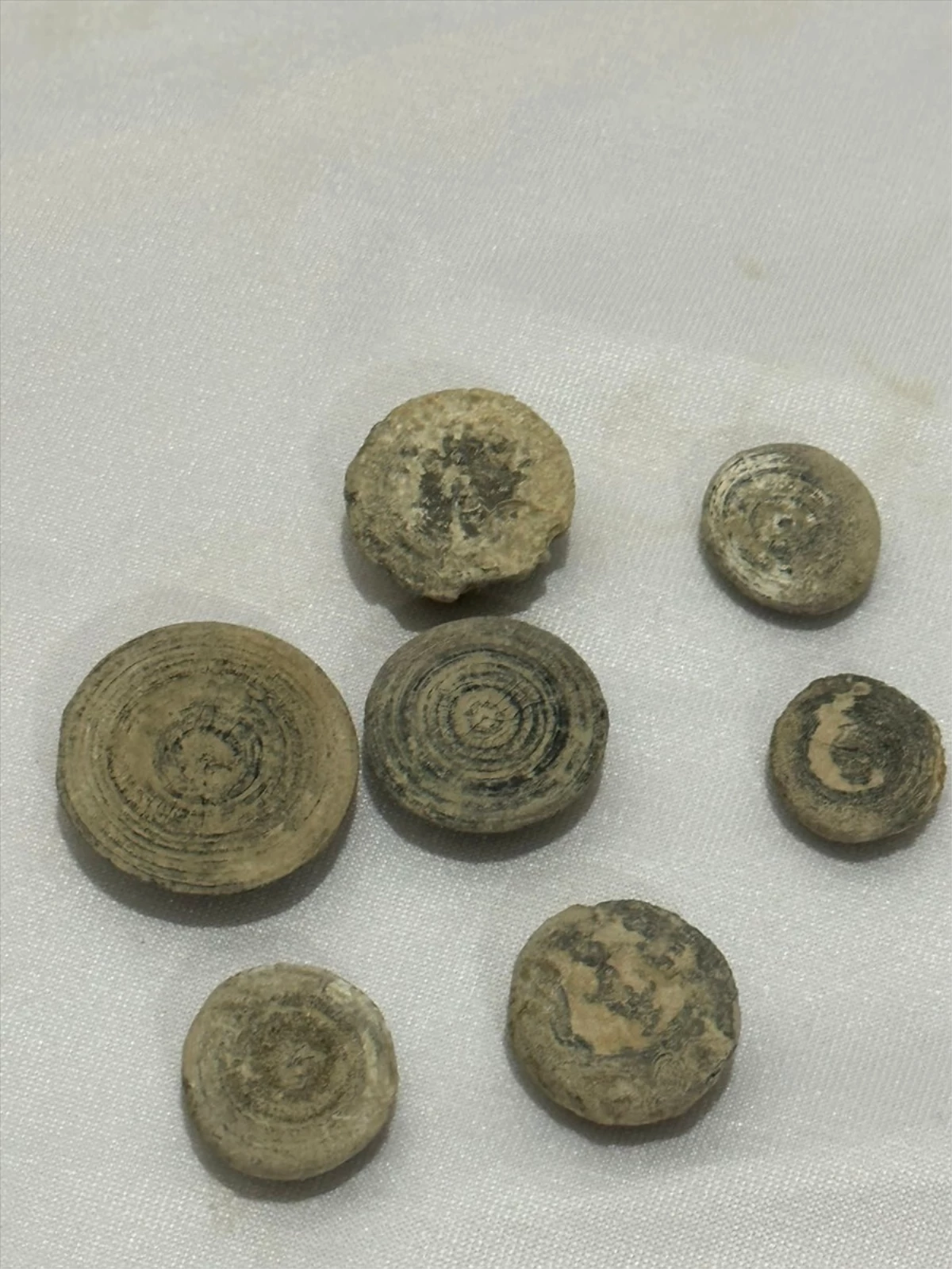 Şanlıurfa’da Roma Dönemine Ait 4 Bin 855 Tarihi Eser Ele Geçirildi