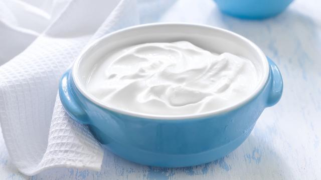 Türk yoğurdu tescil yolunda: Yerli ve milli maya üretildi