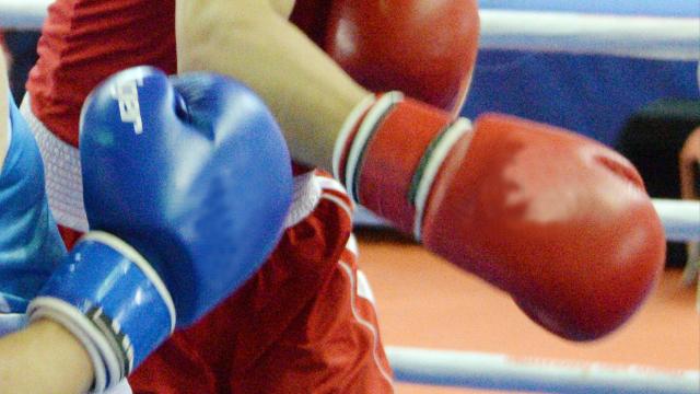 Muğla’da WBC profesyonel boks gecesi yapılacak
