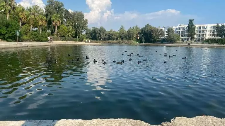 Oteller arasına gizlenmiş huzur: Titreyengöl