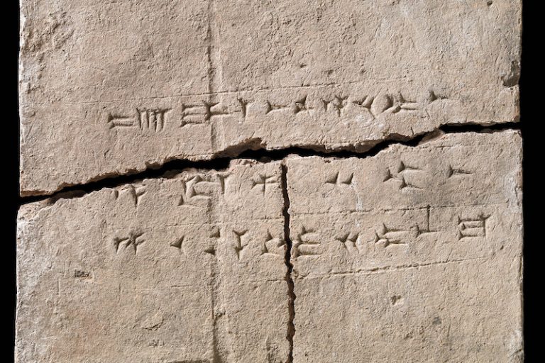 2.900 Yıllık Tuğla, Kralın ve Bitkilerin Hikayesini Anlatıyor