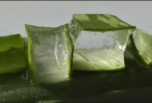 Türkiye’de faydasını bilmeden hep çöpe attık…ABD yıllardır onu kullanıyor!