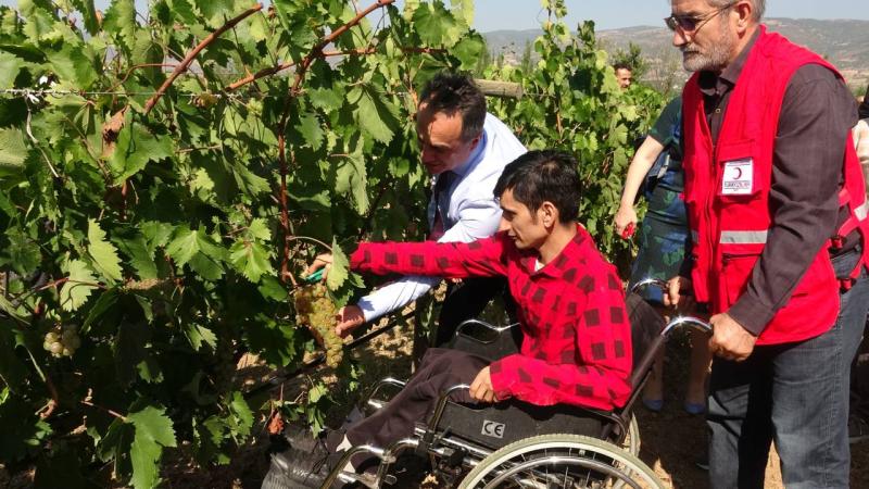 Türkiye’de tek olan ‘Gönül Bağlarımızda Bağ Bozumu’ şenliği düzenlendi