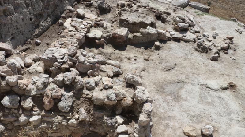 Denizli’de 3500 yıllık üzüm çekirdeği kalıntısı bulundu