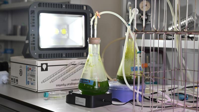 Türkiye’nin ilk uzay yolcuları mikroalglerle karbondioksiti oksijene dönüştürecek