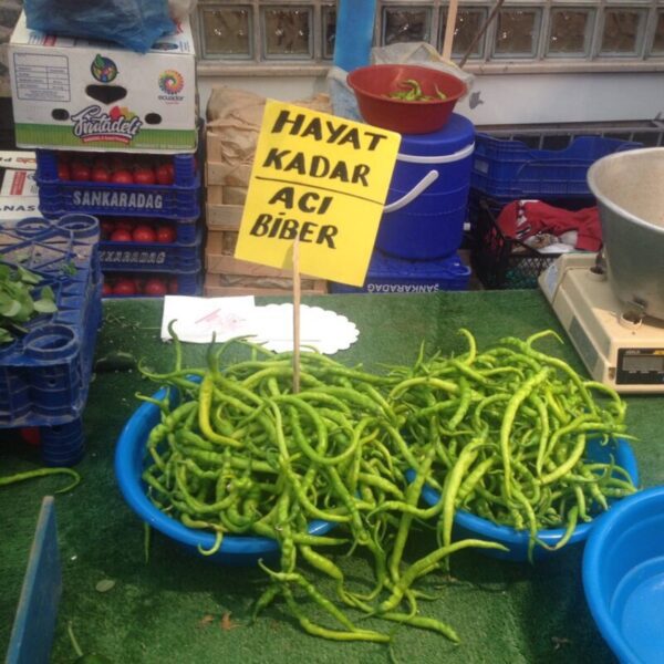 Adana, Şanlıurfa Gibi Sıcak Şehirlerde İnsanların Deli Gibi Acı Yemesinin “Nasıl Aklıma Gelmedi!” Diyeceğiniz Sebebi