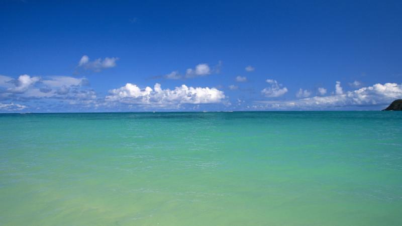 Birleşmiş Milletler: Denizlerden yıllık 6 milyar ton kum çekiliyor