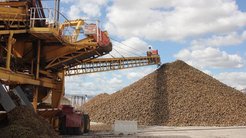 Amasya Şeker Fabrikası pancar alımına başladı