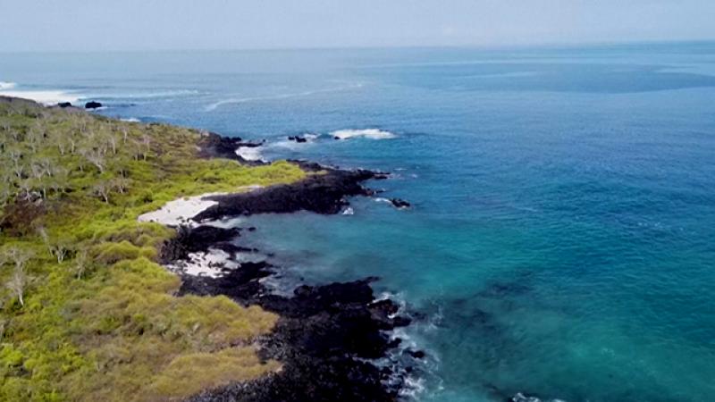 Küçük ada ülkeleri, yüksek emisyon salımı yapan ülkelere dava açıyor