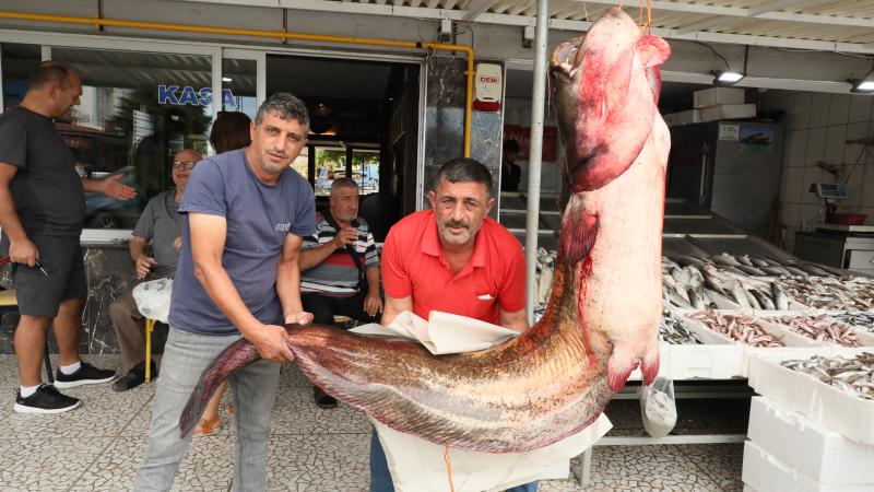 Samsun’da baraj gölünde 94 kilogramlık yayın balığı yakalandı
