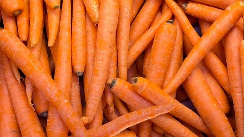 Havucun turuncu olmasında etkili 3 çekinik gen keşfedildi