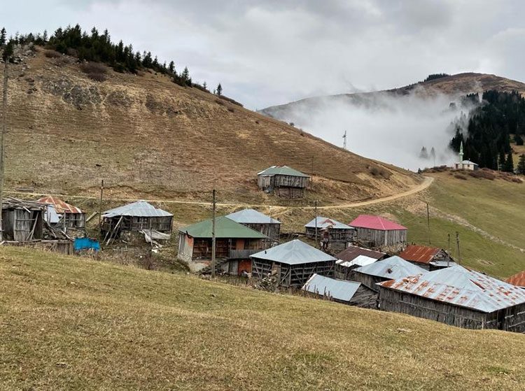 Gölyanı Yaylası’nın “hartama” tekniği ile inşa edilen ahşap evleri korunacak