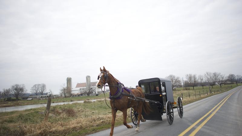 Amişlerin at arabası kaza yaptı: İki çocuk hayatını kaybetti