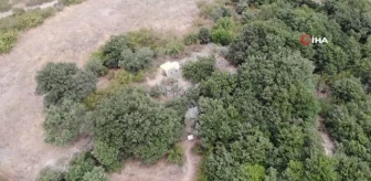 İnkaya Mağarası’nda 64 Bin Yıllık Atölye