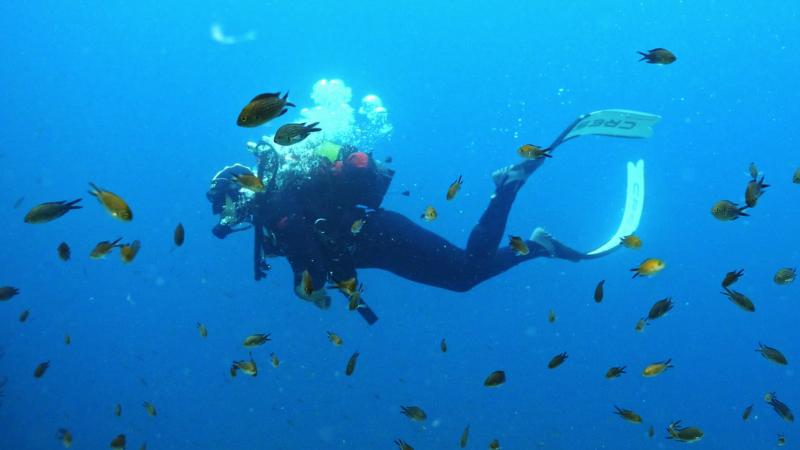 Altın Palet Sualtı Görüntüleme Türkiye Şampiyonası devam ediyor