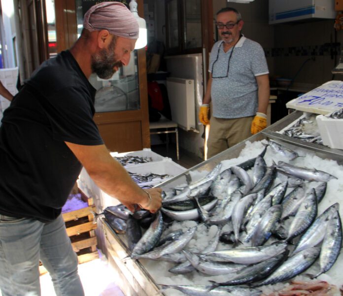 Karadeniz’de palamut bolluğu