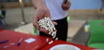 Bingöl’ün tescilli ürünlerinden Yedisu horoz kuru fasulyesi için festival yapıldı.