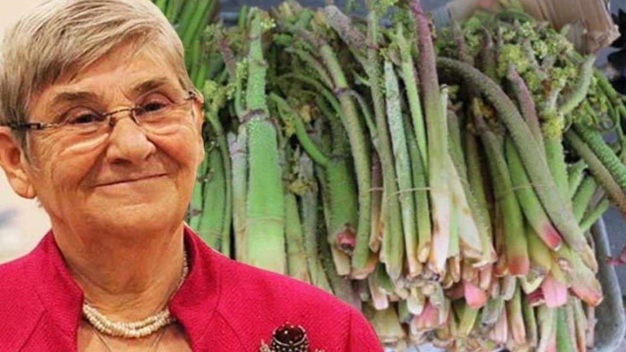 Prof. Dr. Canan Karatay’a Göre Dünyanın En Faydalı Bitkisi