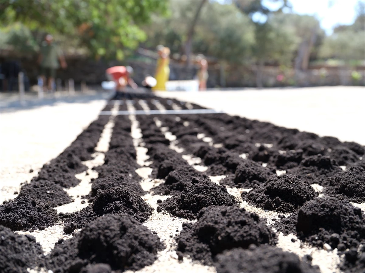 Aşık Veysel’in Dev Portresi Bodrum’da Topraktan Oluşturuldu