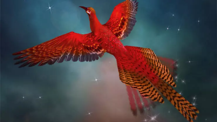 Anka Kuşu Hikayesi Neyi Anlatır?